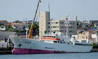 Navio de pesca de arrasto à venda