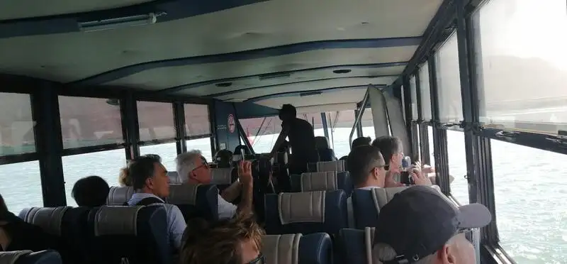 Anfíbio à venda
