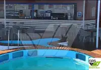 Ro-Ro ship à venda