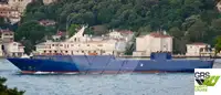Ro-Ro ship à venda