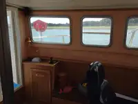 Barcos de trabalho à venda