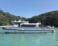 Catamarã à venda