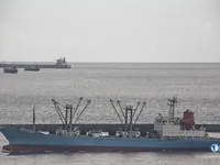 Navio frigorífico à venda