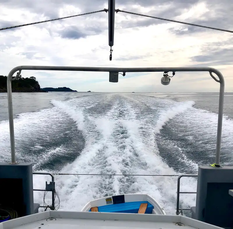 Navio de pesquisa à venda