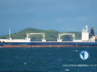 Navio frigorífico à venda