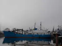 Navio graneleiro à venda