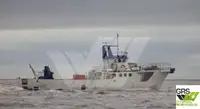 Barcos de trabalho à venda