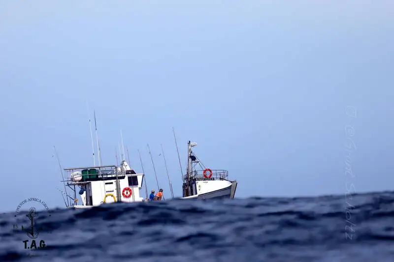 Navio de pesca de arrasto à venda