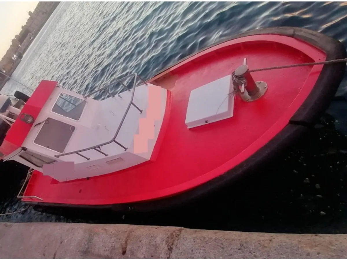 Barcos de trabalho à venda