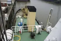 Barcos de trabalho à venda