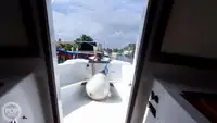 Apoio a mergulho à venda