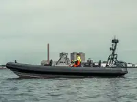 Bote inflável rígido à venda