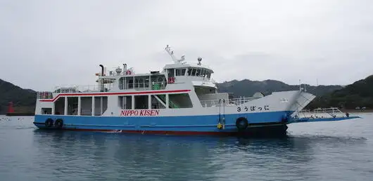 Navio Ro-Ro à venda