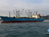 Navio frigorífico à venda