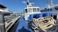 Navio de patrulha à venda