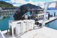 Catamarã à venda