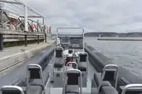 Bote inflável rígido à venda