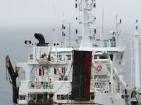 Navio de pesca de arrasto à venda