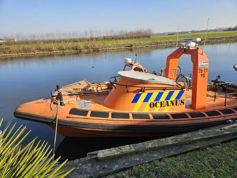 Bote inflável rígido à venda