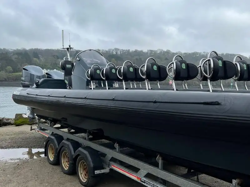 Bote inflável rígido à venda