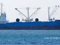 Navio frigorífico à venda