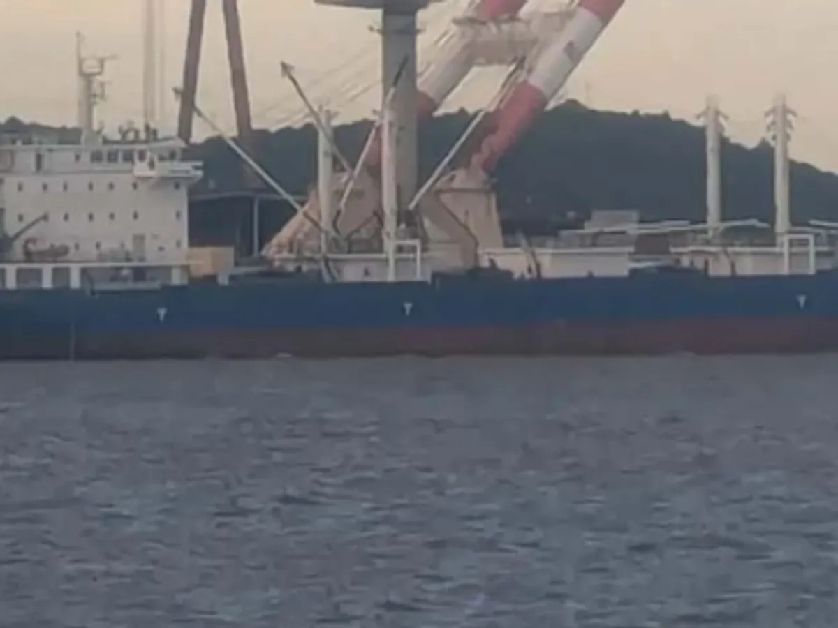 Navio frigorífico à venda