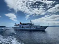 Navio de cruzeiro à venda