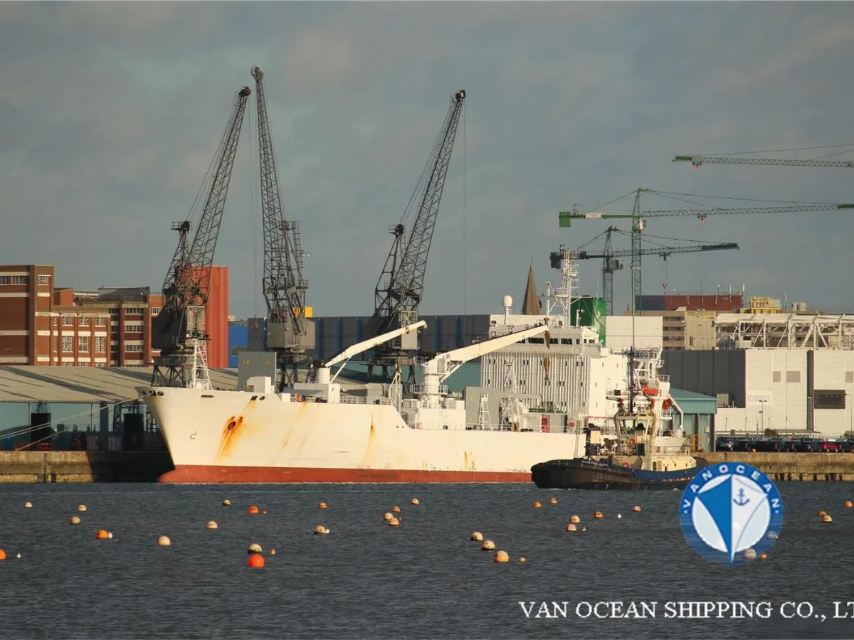 Navio frigorífico à venda