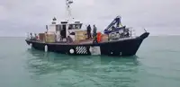 Barcos de trabalho à venda