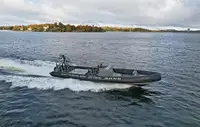 Barco inflável rígido à venda