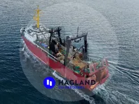 Grande navio de pesca de arrasto congelador à venda
