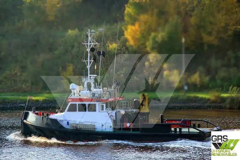 Barcos de trabalho à venda