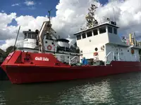 Dragador à venda