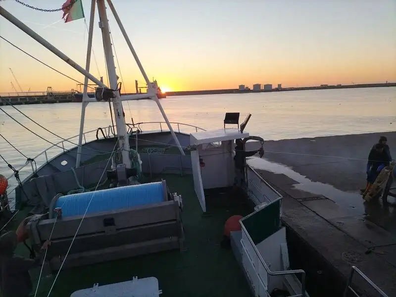 Navio de pesca de arrasto à venda