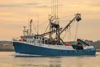 Navio de pesca de cerco à venda