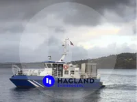 Barcos de trabalho à venda