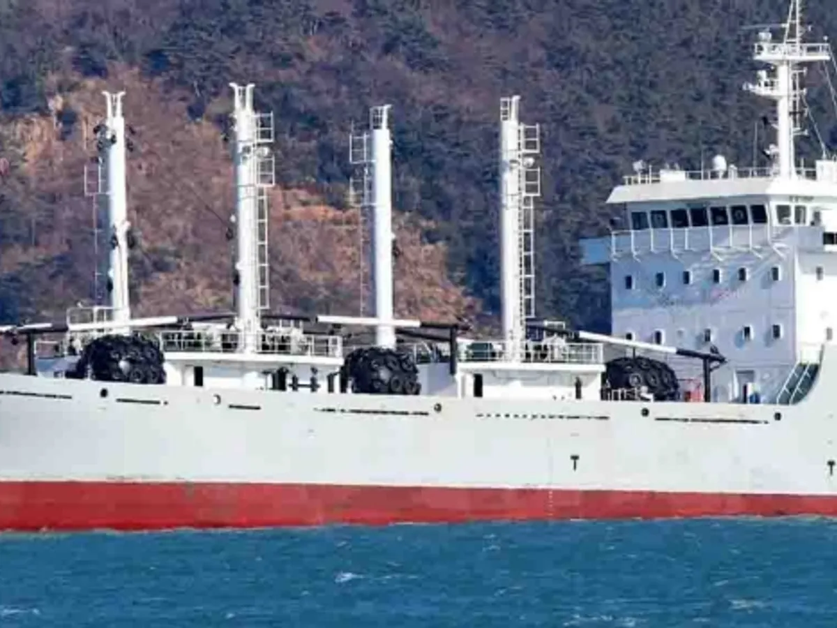 Navio frigorífico à venda