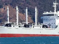 Navio frigorífico à venda