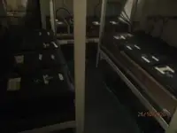 Navio frigorífico à venda