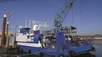 Navio graneleiro à venda
