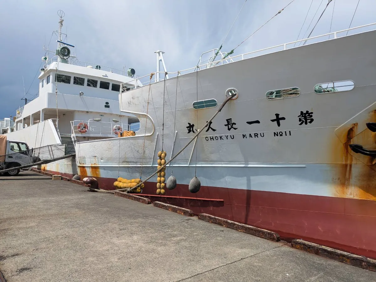 Navio de pesca de linha de mão à venda