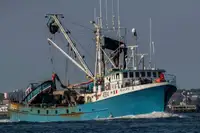 Purse seiner à venda