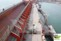 Barcos de trabalho à venda