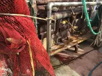 Navio de pesca de arrasto à venda