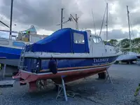 Barcos de trabalho à venda