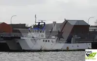 Barcos de trabalho à venda