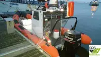 Bote inflável rígido à venda
