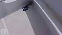Apoio a mergulho à venda