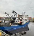 Portador de peixe vivo à venda