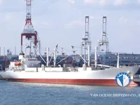 Navio frigorífico à venda